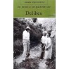 En torno a las palabras de Delibes