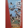 Aves de las lagunas de La Nava, Boada, Pedraza y su entorno