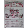Letra Viva - Cuaderno Lengua y Ortografía - 1º y 2° Primaria