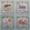 4 Libros - Colección El número de las Estrellas