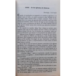 Maravilloso viaje de Nils Holgersson a través de Suecia (tomo 2) (Con cuaderno de comprensión)