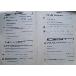 Una vela solitaria (Con cuaderno de comprensión)