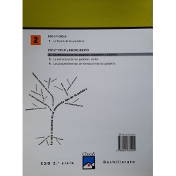 Prácticas de morfología - 2 - La estructura de las palabras: sustantivo y adjetivo